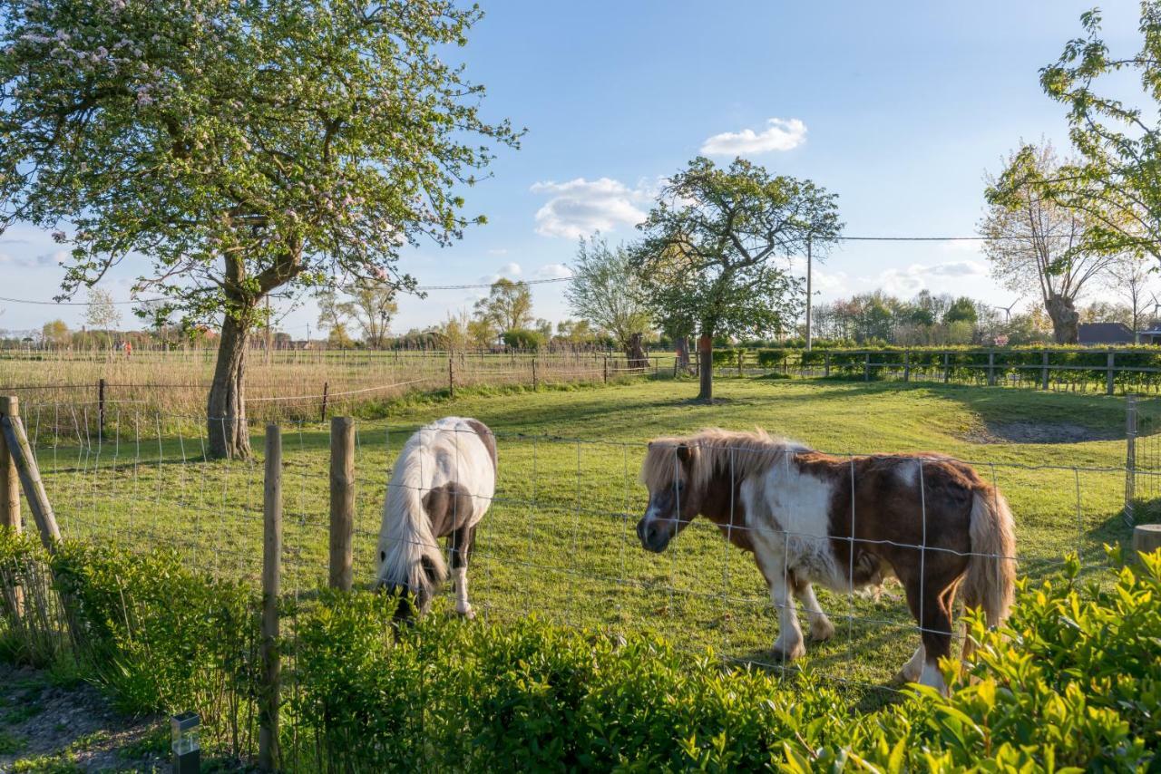 Hoeve De Zuidhoek Брюгге Екстер'єр фото